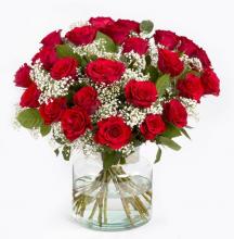 24 Red Roses Vase 24 Red Roses Vase